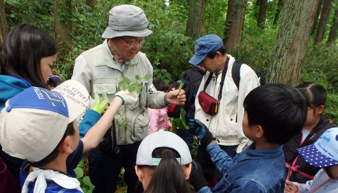 野生植物研究所